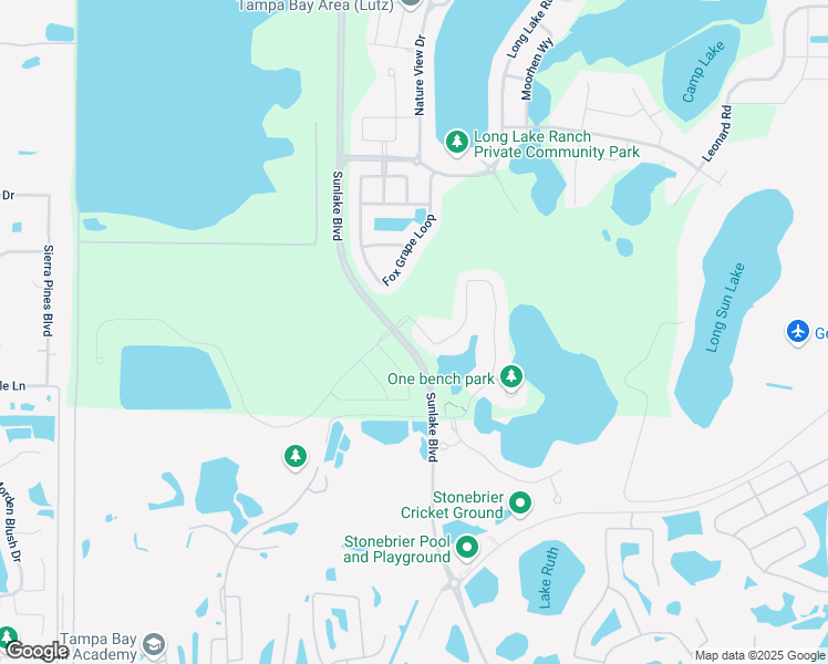 map of restaurants, bars, coffee shops, grocery stores, and more near 19570 Roseate Drive in Lutz