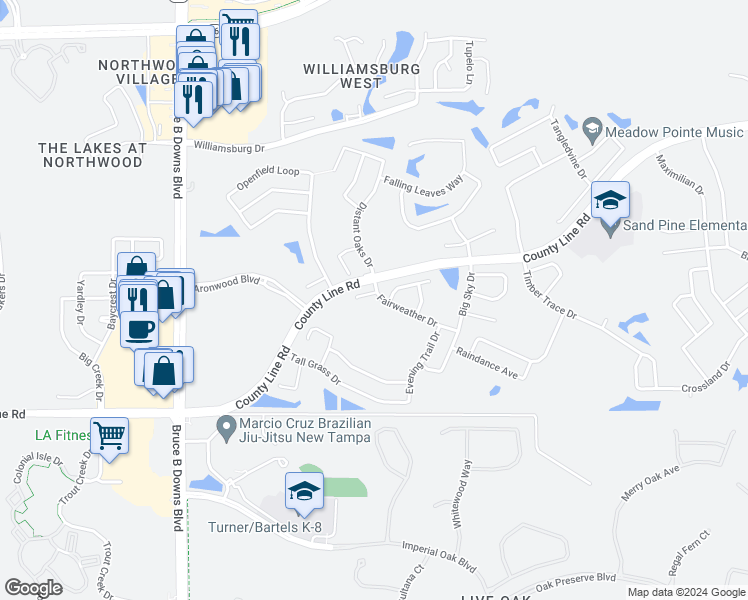 map of restaurants, bars, coffee shops, grocery stores, and more near 28502 Fairweather Drive in Zephyrhills