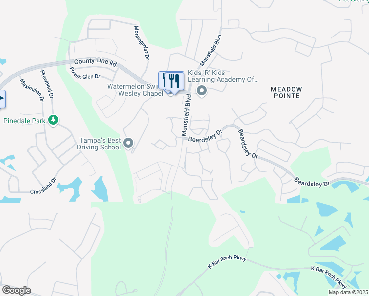 map of restaurants, bars, coffee shops, grocery stores, and more near 1251 Charlesworth Drive in Wesley Chapel