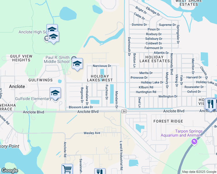 map of restaurants, bars, coffee shops, grocery stores, and more near 1202 Fuchsia Drive in Holiday