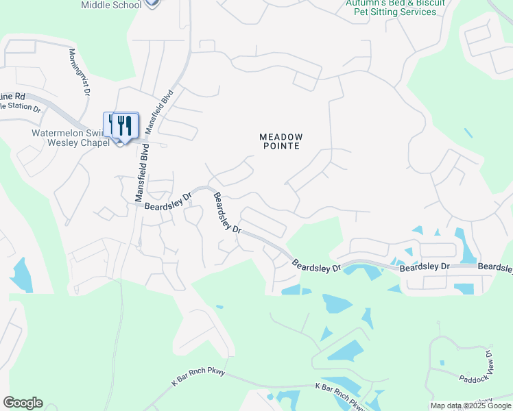 map of restaurants, bars, coffee shops, grocery stores, and more near 30543 Lanesborough Circle in Wesley Chapel