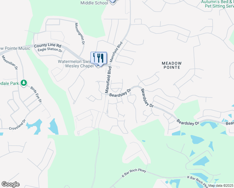 map of restaurants, bars, coffee shops, grocery stores, and more near 1315 Denman Court in Wesley Chapel
