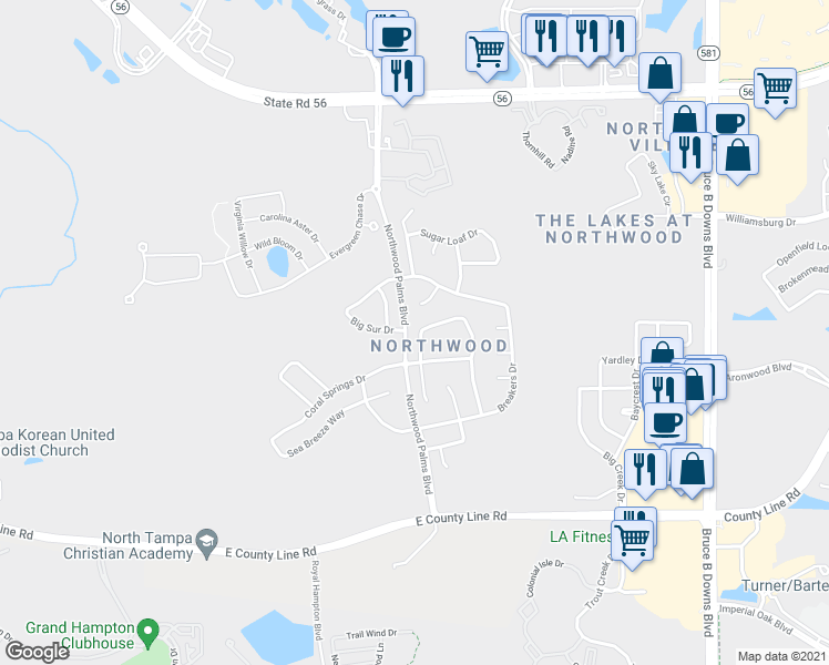 map of restaurants, bars, coffee shops, grocery stores, and more near 1538 Ocean Reef Road in Wesley Chapel