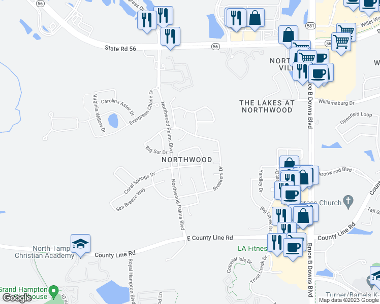 map of restaurants, bars, coffee shops, grocery stores, and more near 1509 Ocean Reef Road in Wesley Chapel