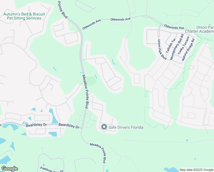 map of restaurants, bars, coffee shops, grocery stores, and more near 1439 Salmonberry Street in Wesley Chapel