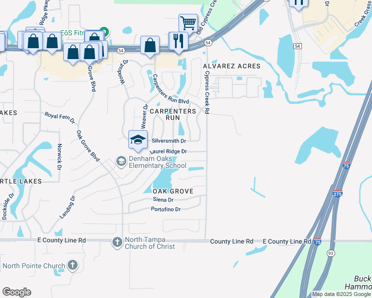 map of restaurants, bars, coffee shops, grocery stores, and more near 24845 Laurel Ridge Drive in Lutz