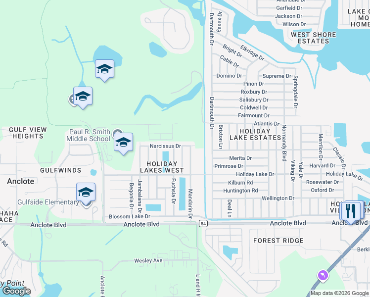 map of restaurants, bars, coffee shops, grocery stores, and more near 2823 Narcissus Drive in Holiday