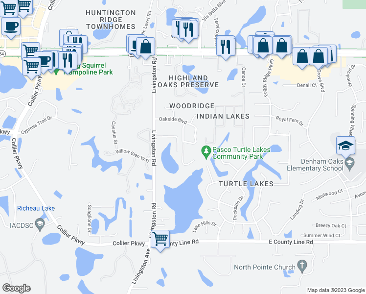 map of restaurants, bars, coffee shops, grocery stores, and more near 1502 Waterwood Drive in Lutz