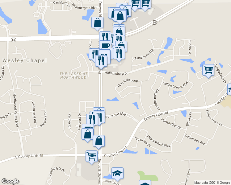 map of restaurants, bars, coffee shops, grocery stores, and more near 28375 Openfield Loop in Zephyrhills