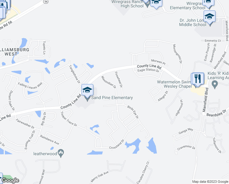 map of restaurants, bars, coffee shops, grocery stores, and more near 1515 Maximilian Drive in Wesley Chapel