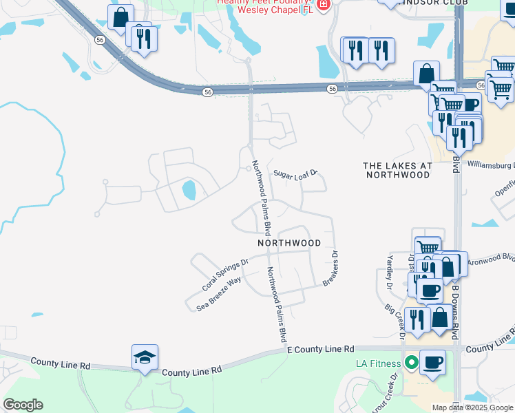 map of restaurants, bars, coffee shops, grocery stores, and more near 27230 La Jolla Way in Wesley Chapel