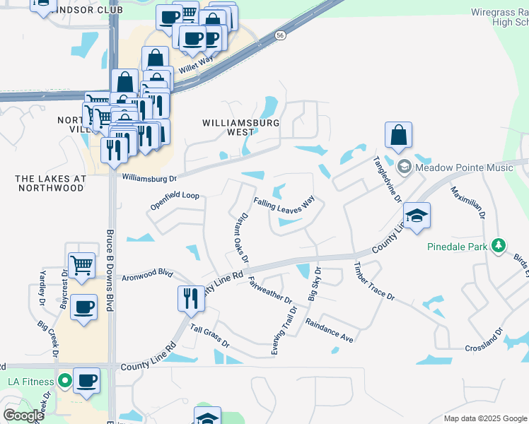 map of restaurants, bars, coffee shops, grocery stores, and more near 28516 Hanging Moss Loop in Zephyrhills