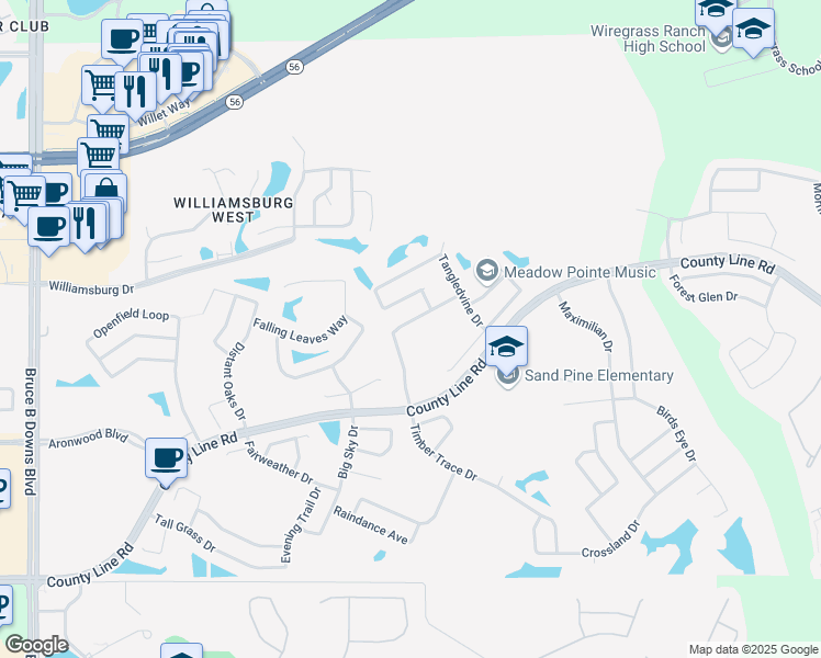 map of restaurants, bars, coffee shops, grocery stores, and more near 1620 Brooksbend Drive in Zephyrhills