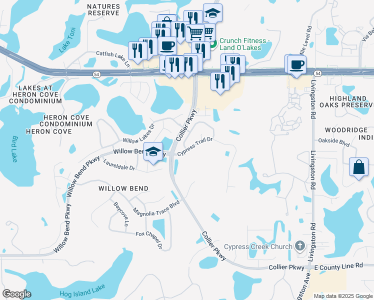 map of restaurants, bars, coffee shops, grocery stores, and more near Cypress Trail Drive in Lutz
