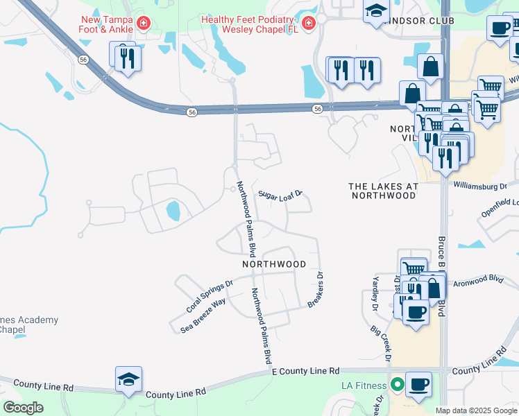map of restaurants, bars, coffee shops, grocery stores, and more near 1614 Marumbi Court in Wesley Chapel