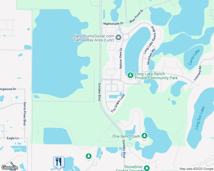 map of restaurants, bars, coffee shops, grocery stores, and more near 1606 Feather Grass Loop in Lutz
