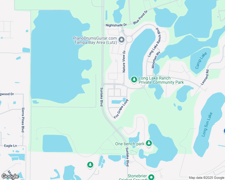 map of restaurants, bars, coffee shops, grocery stores, and more near 1606 Feather Grass Loop in Lutz