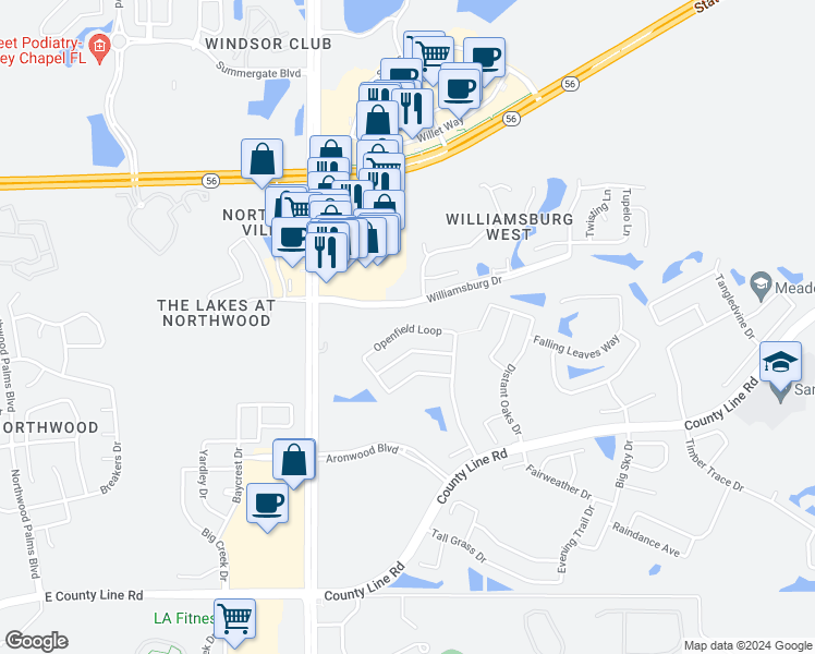 map of restaurants, bars, coffee shops, grocery stores, and more near 28427 Clearglades Drive in Wesley Chapel