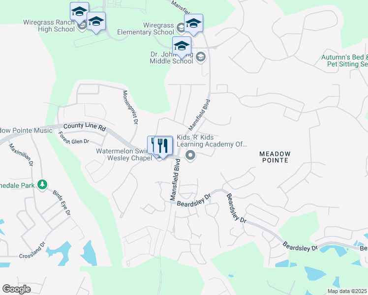 map of restaurants, bars, coffee shops, grocery stores, and more near 30529 Lettingwell Circle in Wesley Chapel