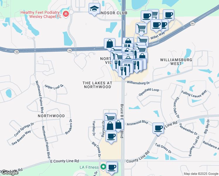 map of restaurants, bars, coffee shops, grocery stores, and more near 1631 Fennsbury Court in Wesley Chapel