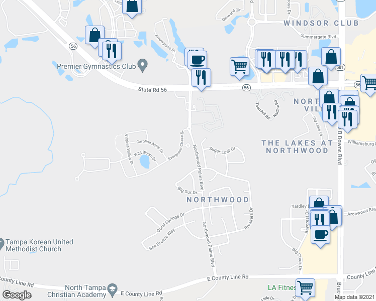 map of restaurants, bars, coffee shops, grocery stores, and more near 27192 Cooper Creek Court in Zephyrhills