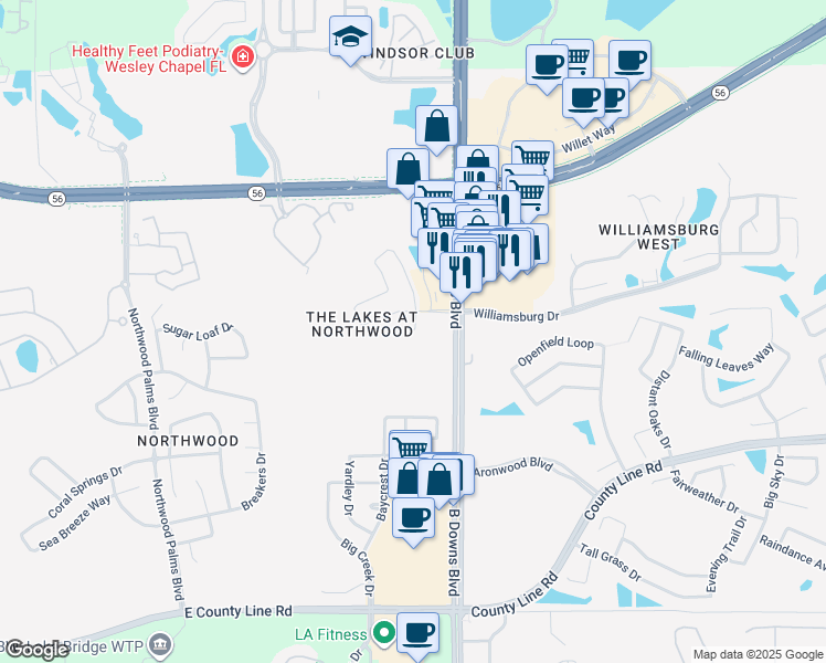 map of restaurants, bars, coffee shops, grocery stores, and more near 1601 Fennsbury Court in Wesley Chapel