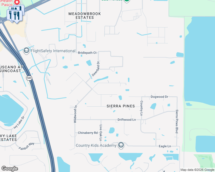 map of restaurants, bars, coffee shops, grocery stores, and more near 17451 Wellfield Court in Lutz