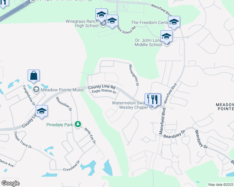 map of restaurants, bars, coffee shops, grocery stores, and more near 29615 Eagle Station Drive in Wesley Chapel