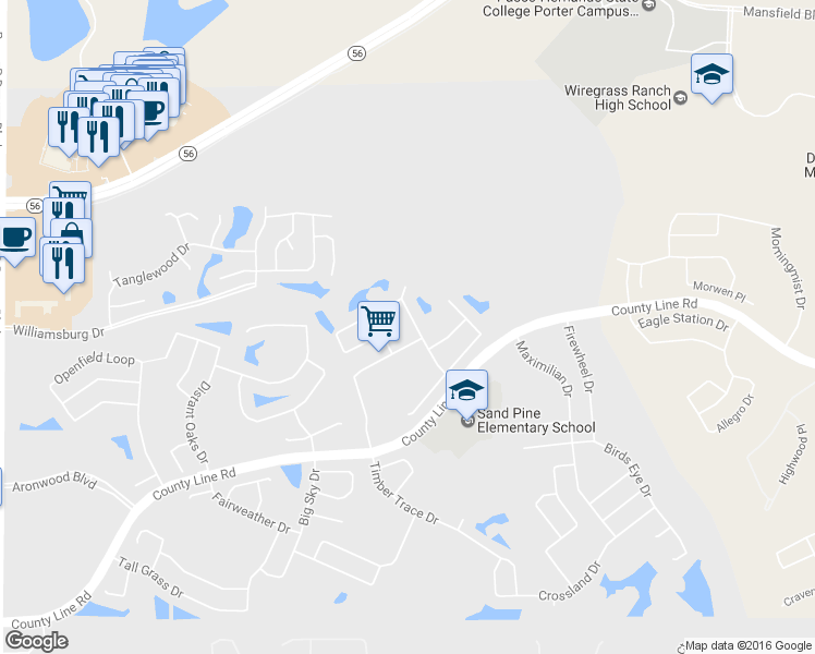 map of restaurants, bars, coffee shops, grocery stores, and more near 1707 Tangledvine Drive in Wesley Chapel