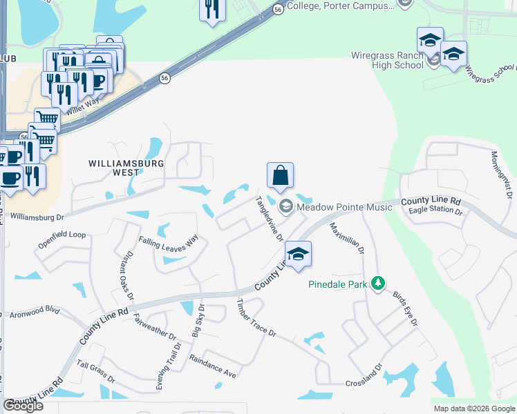 map of restaurants, bars, coffee shops, grocery stores, and more near 1717 Tangledvine Drive in Zephyrhills