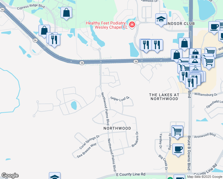 map of restaurants, bars, coffee shops, grocery stores, and more near 1724 Marumbi Court in Wesley Chapel