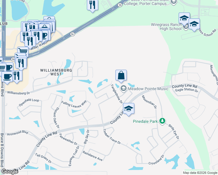 map of restaurants, bars, coffee shops, grocery stores, and more near 1739 Tangledvine Drive in Wesley Chapel