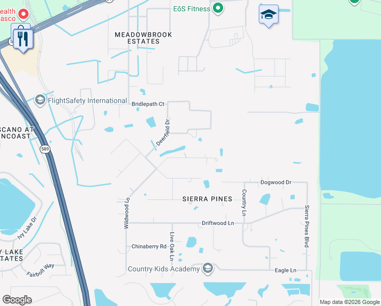map of restaurants, bars, coffee shops, grocery stores, and more near 17451 Wellfield Court in Lutz