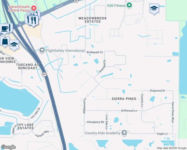 map of restaurants, bars, coffee shops, grocery stores, and more near 17641 Deerfield Drive in Lutz