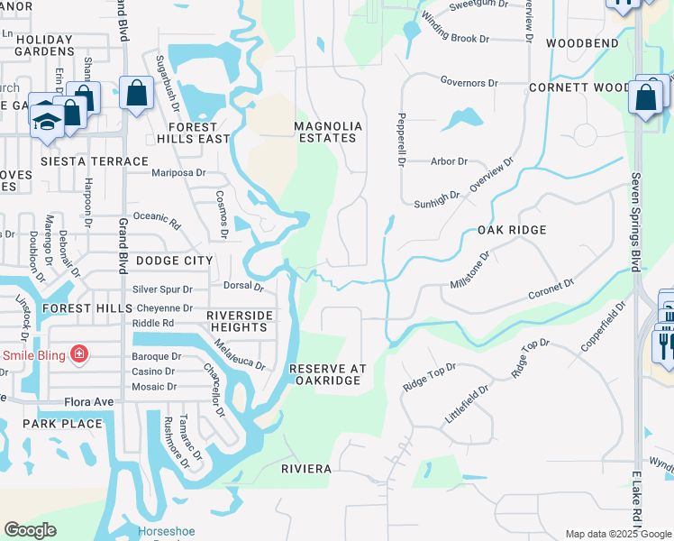 map of restaurants, bars, coffee shops, grocery stores, and more near 6112 Japonica Court in New Port Richey