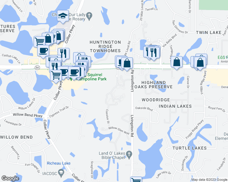 map of restaurants, bars, coffee shops, grocery stores, and more near 1804 Cypress Preserve Drive in Lutz
