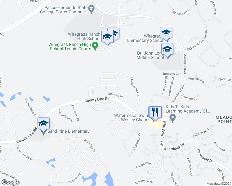 map of restaurants, bars, coffee shops, grocery stores, and more near 29717 Morwen Place in Wesley Chapel