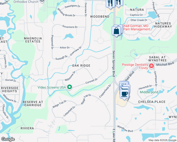 map of restaurants, bars, coffee shops, grocery stores, and more near 1638 Belltower Drive in New Port Richey