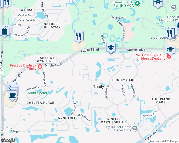 map of restaurants, bars, coffee shops, grocery stores, and more near 1644 Orchard Grove Avenue in New Port Richey