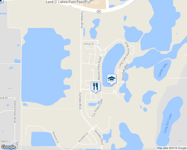 map of restaurants, bars, coffee shops, grocery stores, and more near Oak Hammock Court in Lutz