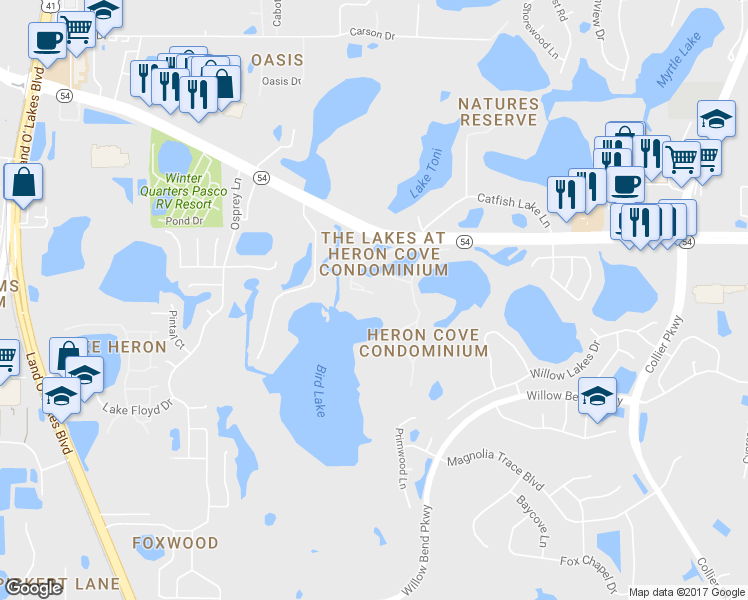 map of restaurants, bars, coffee shops, grocery stores, and more near 1625 Hammocks Avenue in Lutz