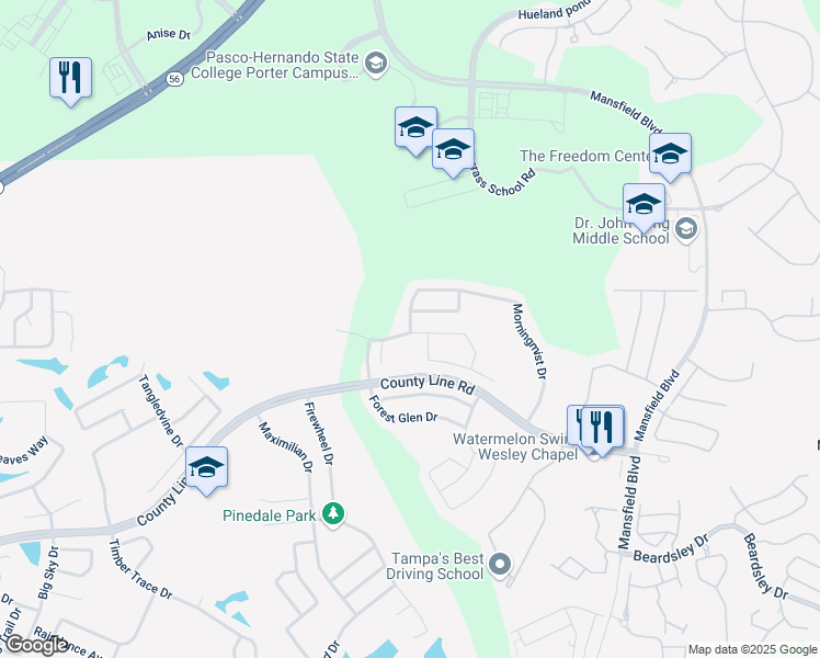 map of restaurants, bars, coffee shops, grocery stores, and more near 29505 Morningmist Drive in Wesley Chapel