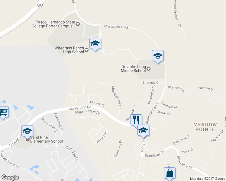 map of restaurants, bars, coffee shops, grocery stores, and more near 29912 Morningmist Drive in Wesley Chapel