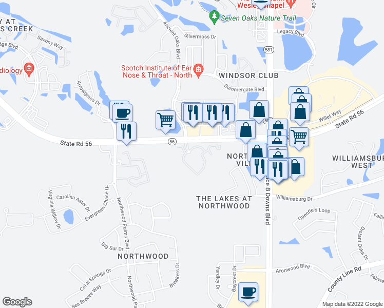 map of restaurants, bars, coffee shops, grocery stores, and more near 1933 Stonebriar Drive in Wesley Chapel
