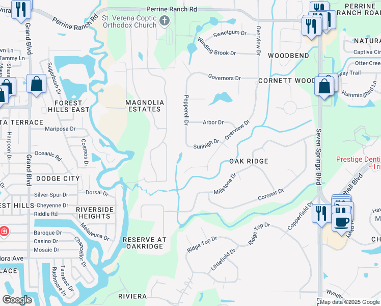 map of restaurants, bars, coffee shops, grocery stores, and more near 6318 Sunhigh Drive in New Port Richey