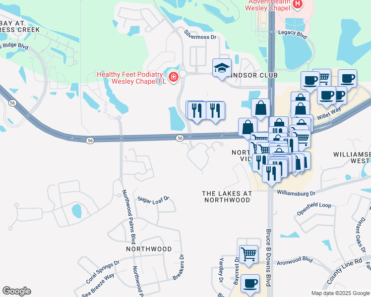 map of restaurants, bars, coffee shops, grocery stores, and more near 1933 Stonebriar Drive in Wesley Chapel