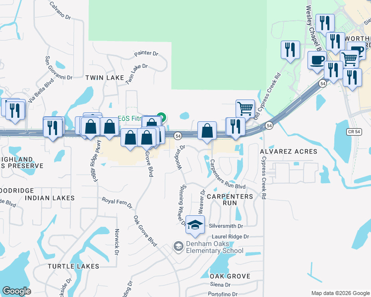map of restaurants, bars, coffee shops, grocery stores, and more near 1920 Woodcut Drive in Lutz