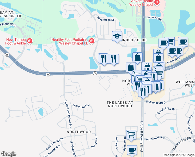 map of restaurants, bars, coffee shops, grocery stores, and more near 1941 Stonebriar Drive in Wesley Chapel