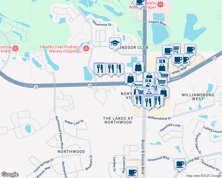 map of restaurants, bars, coffee shops, grocery stores, and more near 1932 Nadine Road in Wesley Chapel