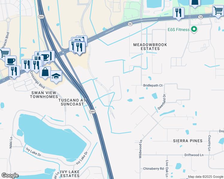 map of restaurants, bars, coffee shops, grocery stores, and more near 17000 Fountainside Loop in Lutz